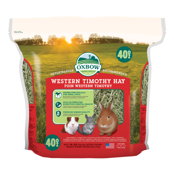 Rabbit food - Hay