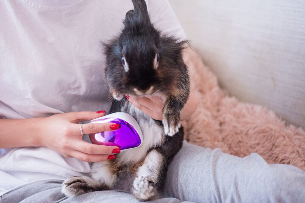 Grooming for Rabbits with Sensitive Skin: Top 8 Do’s and Don’ts