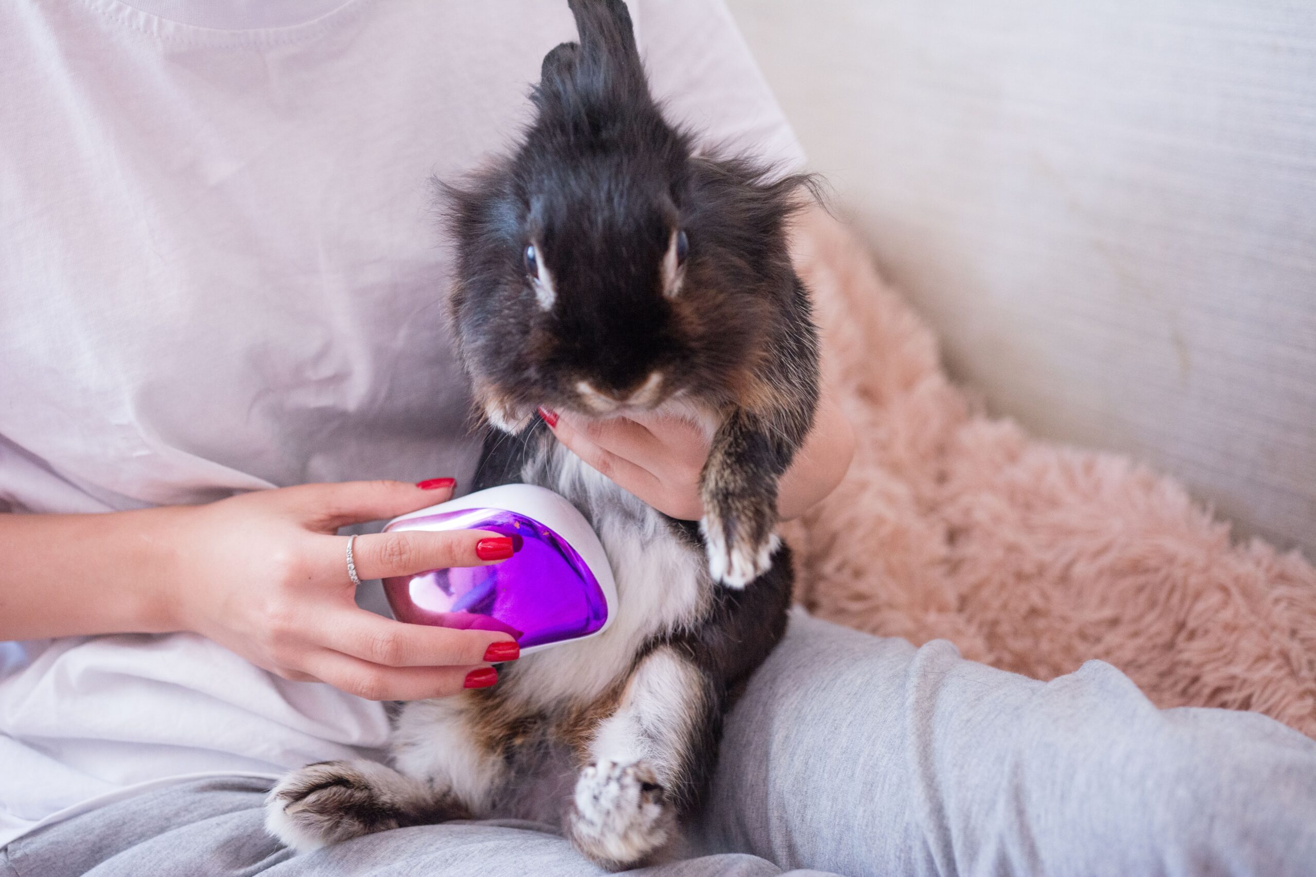 Grooming for Rabbits with Sensitive Skin: Top 8 Do’s and Don’ts