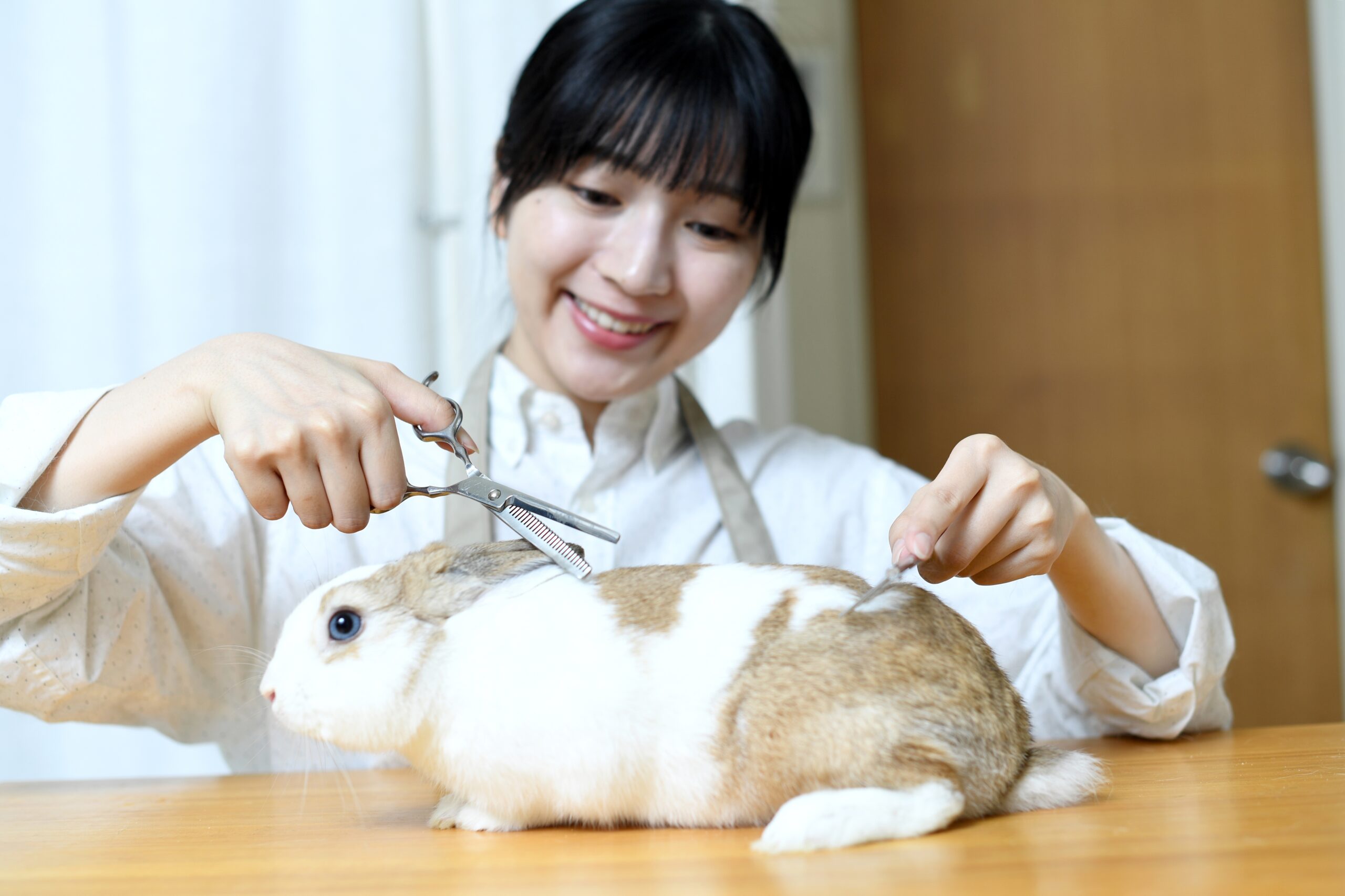 groomer for rabbit