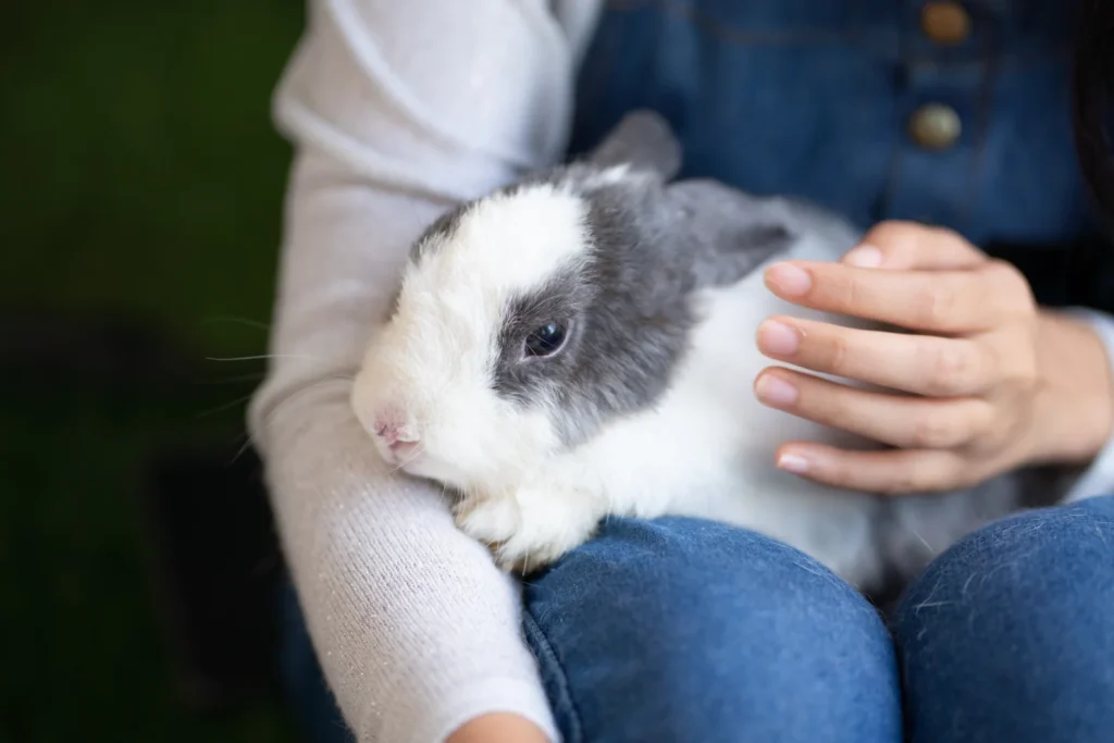  Happy young woman enjoying time with her pet rabbit, emphasizing the benefits of a rabbit boarding service